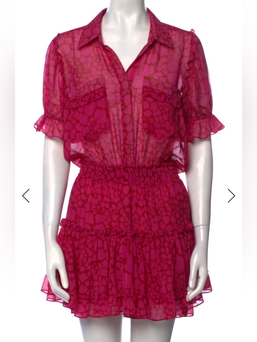 Misa Los Angeles Sheer Ruffle Mini Dress